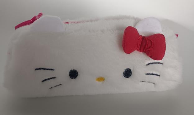 Pencil Case